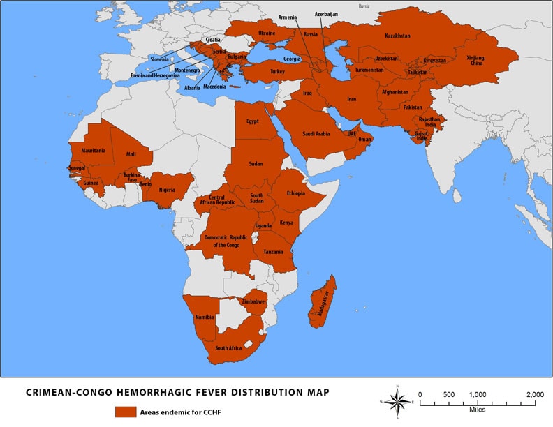 This map shows the countries with CCHF is.