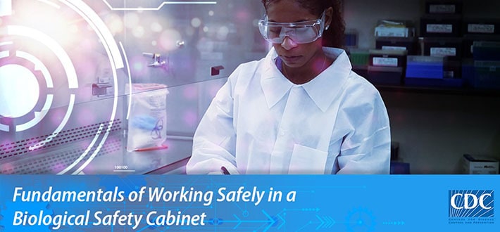 laboratory professional working at a biological safety cabinet