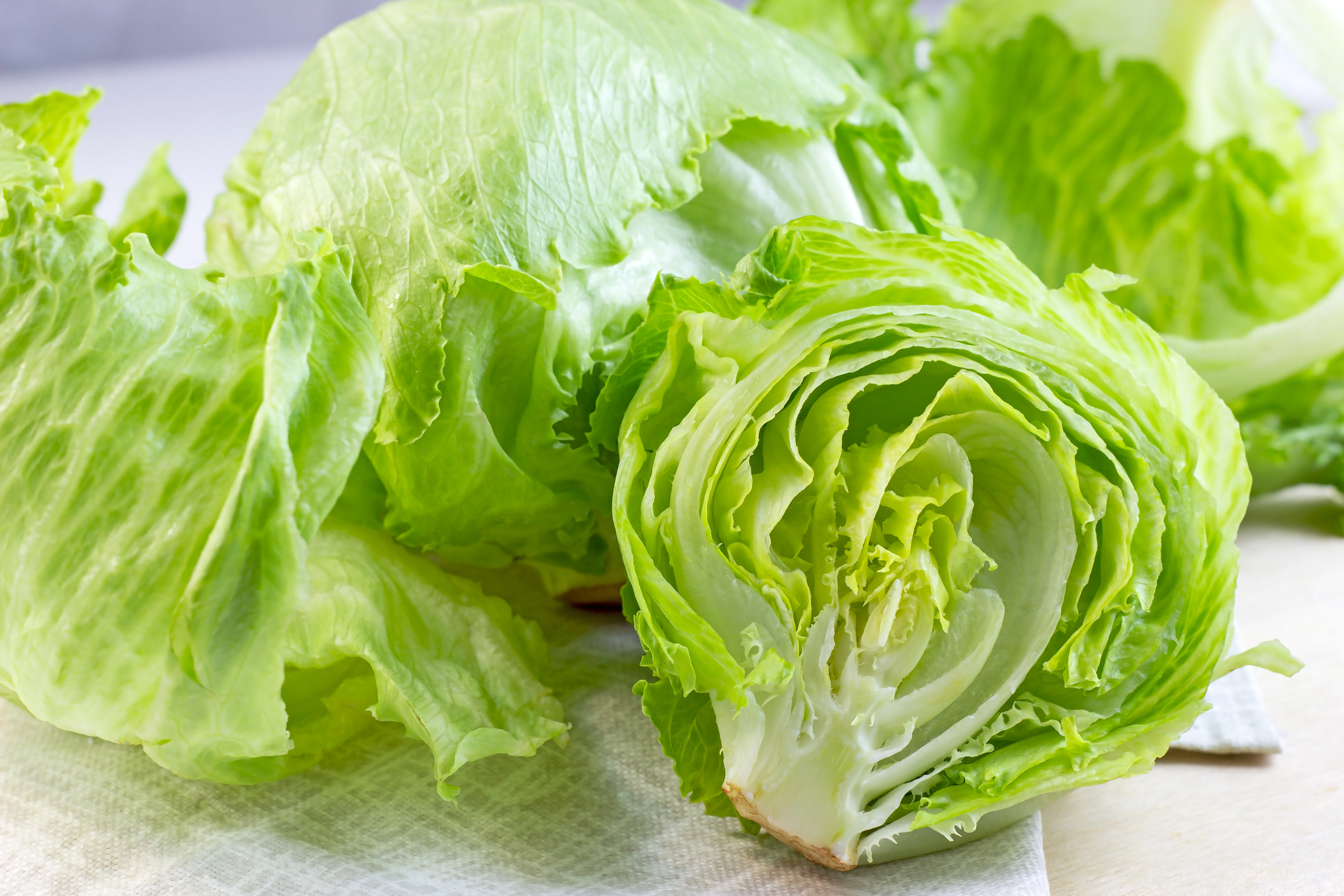 Heads of iceberg lettuce.