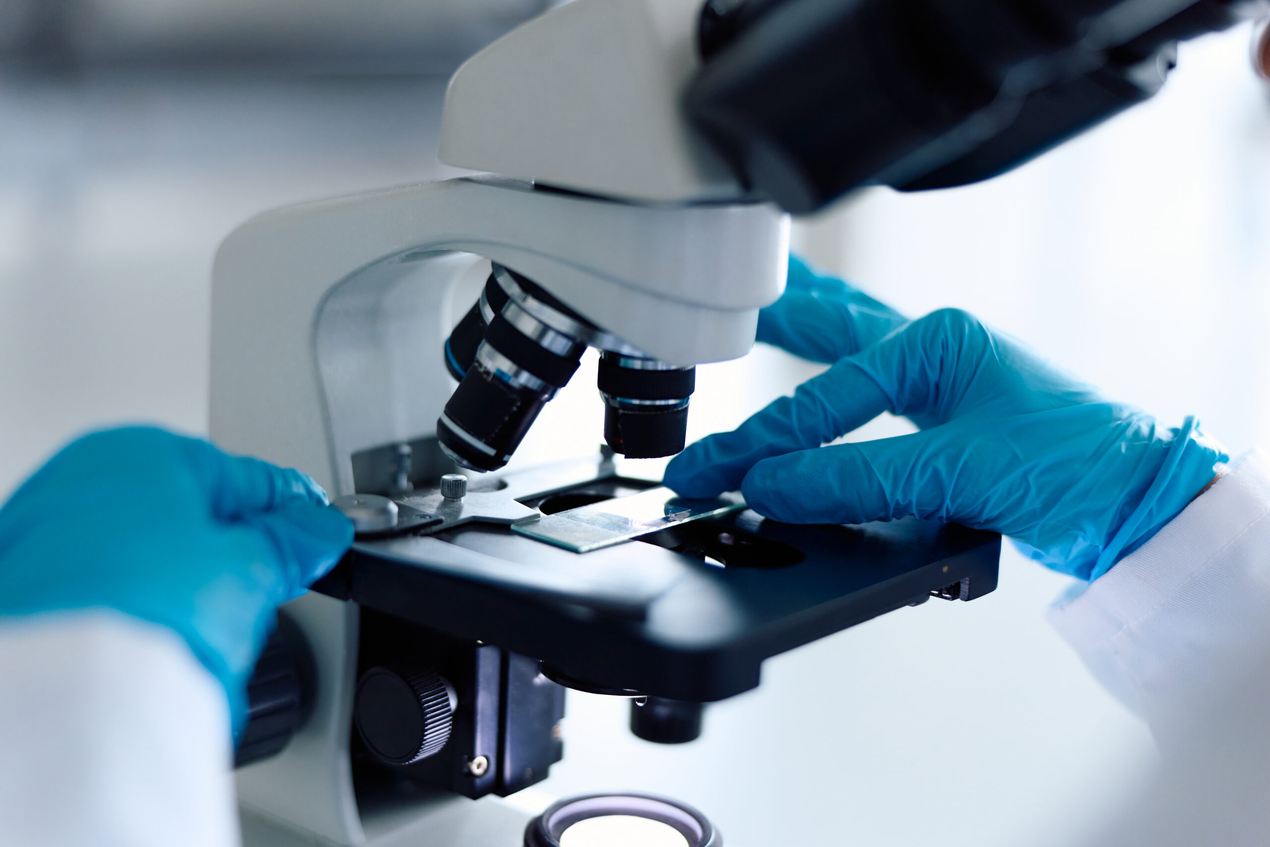 Closeup of scientist hands loading slide into a microscope
