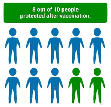 8 de cada 10 personas tienen protección después de vacunarse.