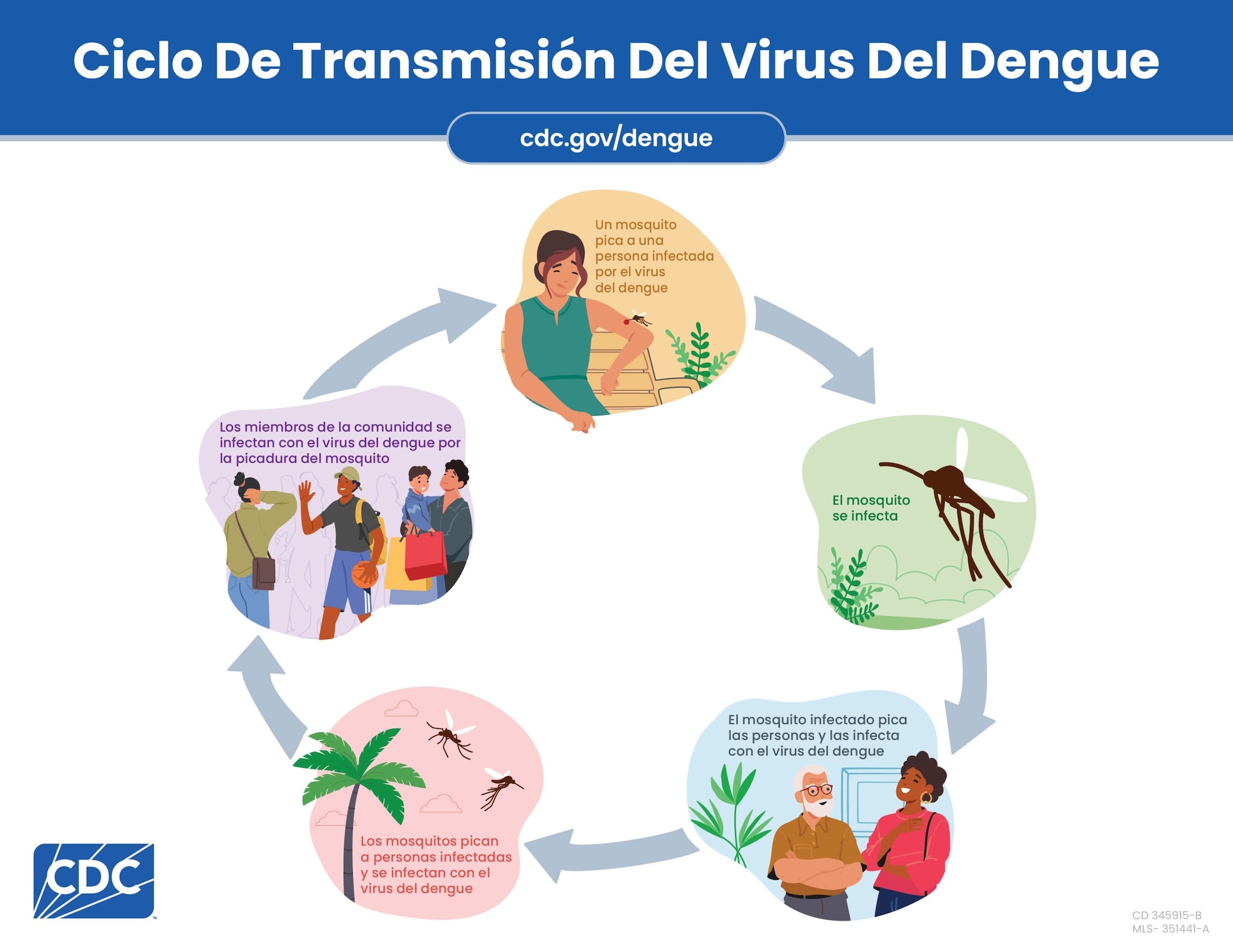 Cómo se propaga el dengue | Dengue | CDC