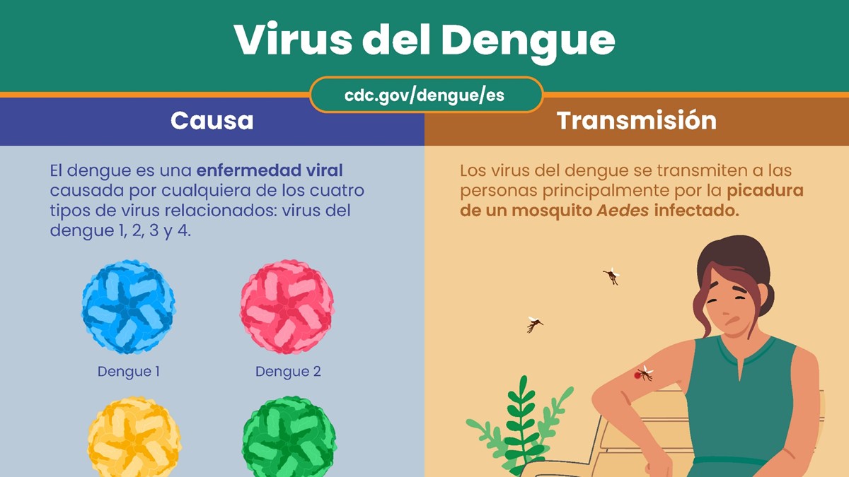 [thumbnail] (hidden)