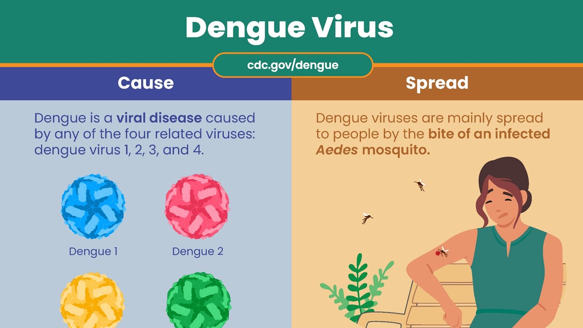 [thumbnail] (hidden)