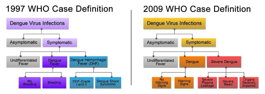 case study on who