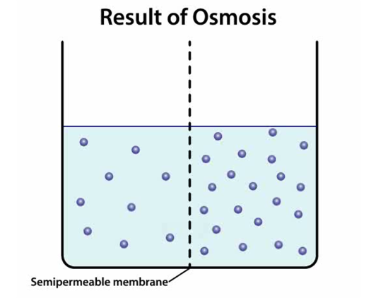 Osmolarity