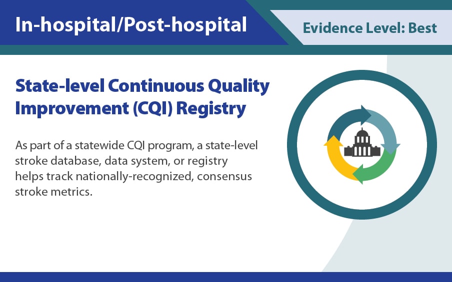 State-level continuous quality improvement (CQI) registry.