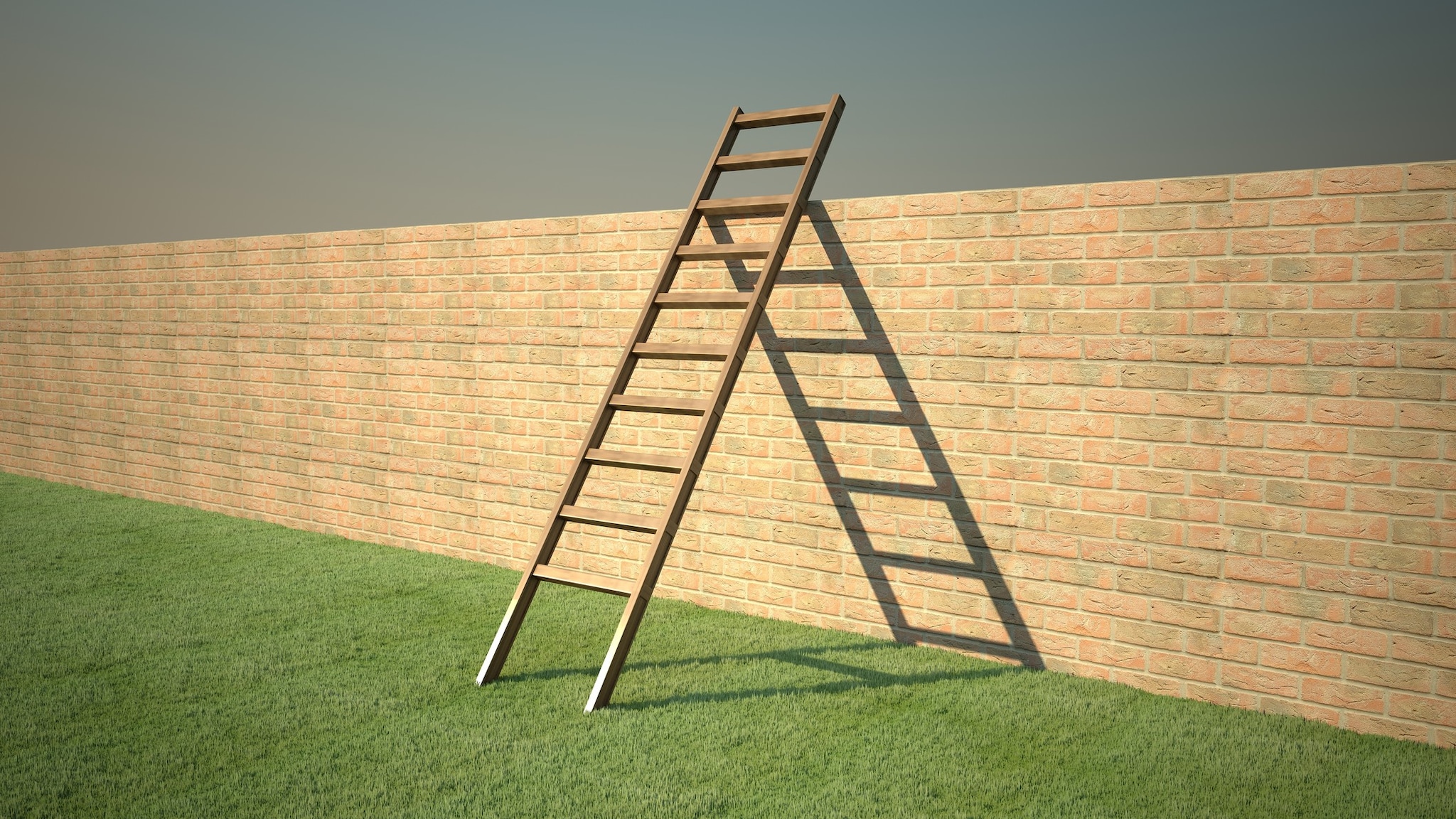 Ladder propped up against a brick wall
