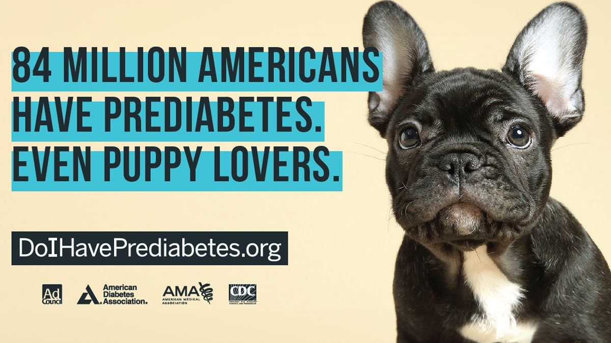 Image of puppy with caption, 84 Million Americans have prediabetes, even puppy lovers