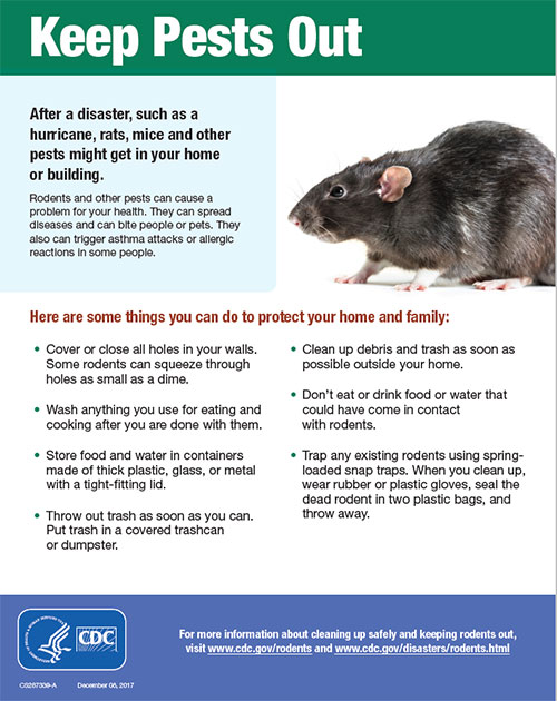 Rodent ControlNatural Disasters and Severe Weather