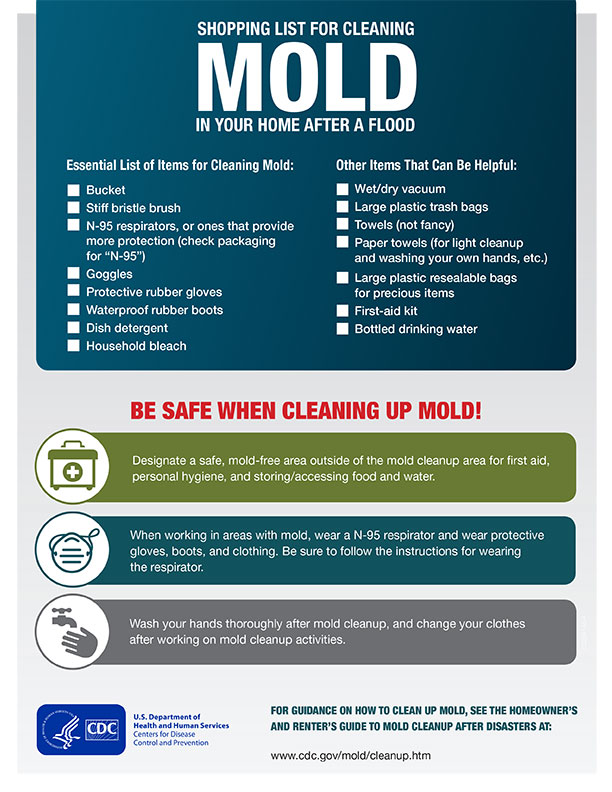 Shopping List for Cleaning Mold in Your Home After a Flood, Natural  Disasters & Severe Weather