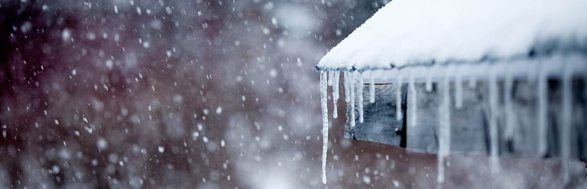 Why cold winter weather makes it harder for the body to fight respiratory  infections