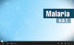 RDT_video_screenshot.jpg RDT video