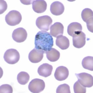 October - 2005 - Case #165