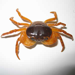 January - 2007 - Case #195