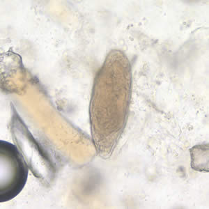 January - 2007 - Case #196