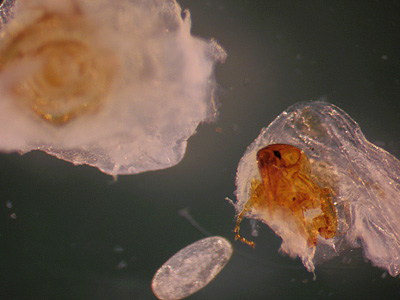 October - 2007 - Case #214