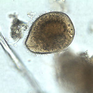 May - 2009 - Case #251