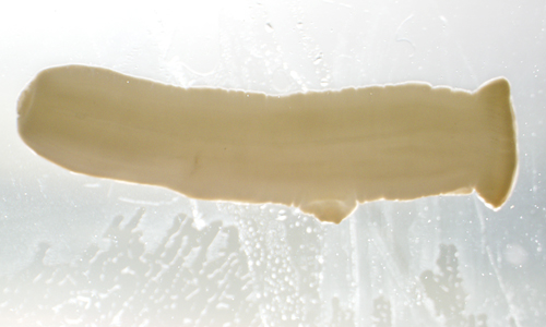 January - 2013 - Case #340