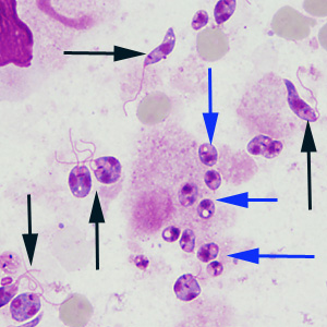 Answer394_C.jpg Answer394_C