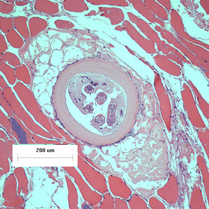 August - 2016 - Case #426