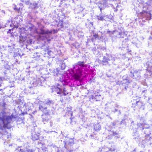 Case452_B Case Study Image