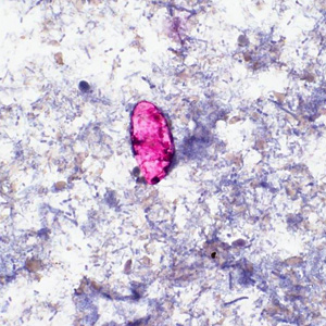 Case452_C Case Study Image