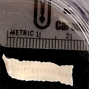 APRIL - 2018 - Case #466 Parasitic image