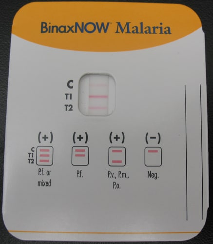 binax now covid 19 test
