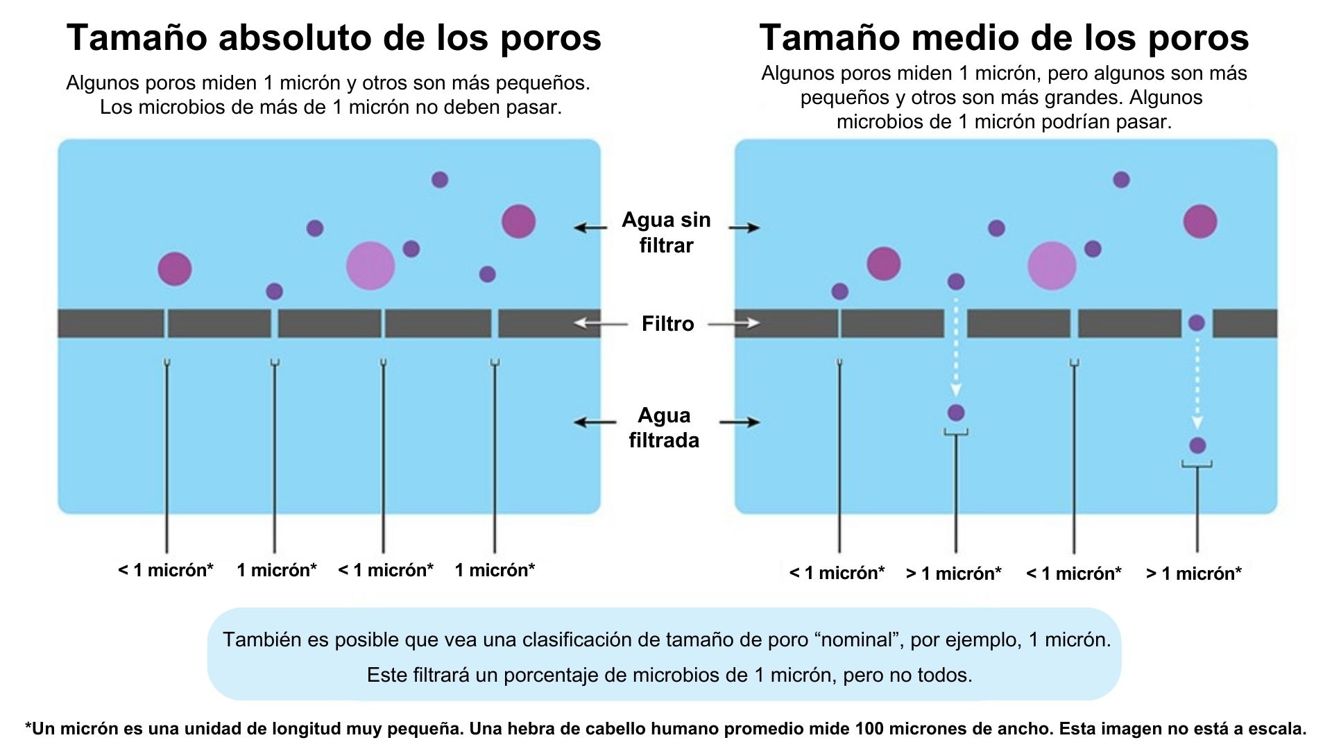 Gráfica que muestra que un tamaño absoluto de los poros de 1 micrón significa que cada poro es de 1 micrón o más pequeño. Mientras que un tamaño medio de los poros de 1 micrón significa que, en promedio, los poros son de 1 micrón, pero pueden ser más grandes o más pequeños.