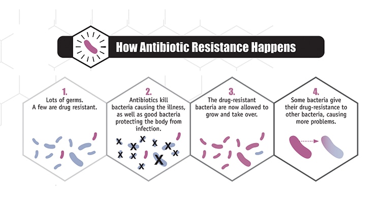 Antibiotic Resistance And Narms Surveillance Narms Cdc