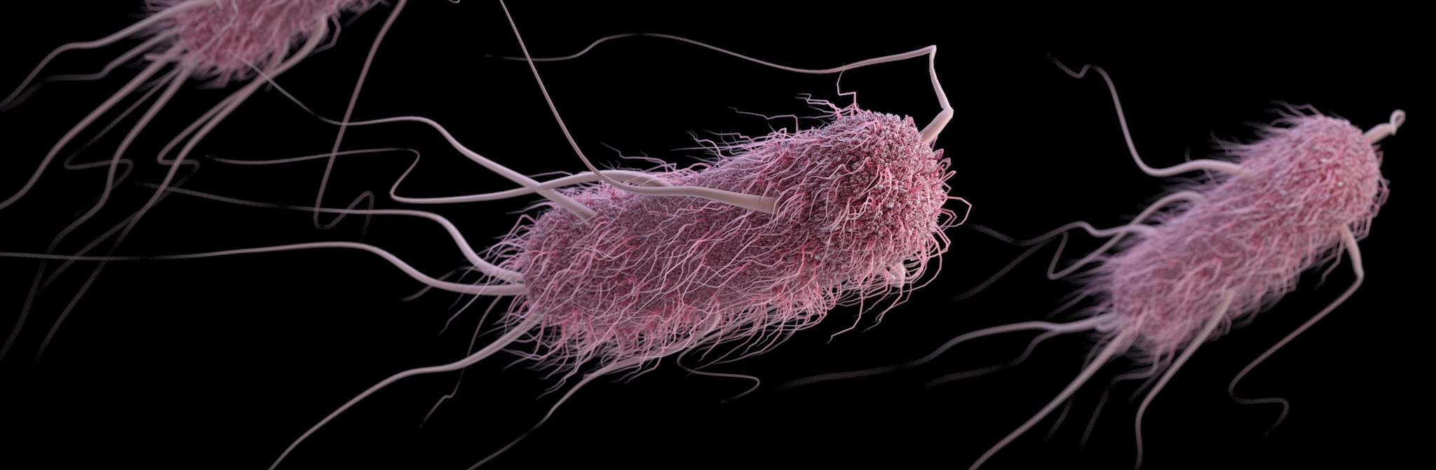 Outbreaks of E. coli Infections E. coli infection CDC