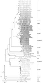 Thumbnail of Phlyogenetic analysis of northern German bat coronaviruses (CoV) (lineages 1–4) and related group I CoVs from bats and other mammals. Analyses were conducted in MEGA4 (32), by using the neighbor-joining algorithm with Kimura correction and a bootstrap test of phylogeny. Numbers at nodes denote bootstrap values as percentage of 1,000 repetitive analyses. The phylogeny is rooted with a Leopard CoV, ALC/GX/F230/06 (33). The column on the right shows bat CoV prototype strain names or the designations of type strains of established mammalian CoV species.