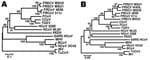 Thumbnail of Phylogenetic tree based on nucleotide sequences of the nucleocapsid (A) and spike gene (B) of ferret coronaviruses (FRCoVs) 4E98 (GenBank accession nos. JF260916 and JF260914, respectively) and 511c (accession nos. JF260915 and JF260913, respectively) and other coronaviruses (CoVs). Partial nucleotide sequences were aligned by using ClustalX (www.clustal.org) and a neighbor-joining Kimura 2-parameter model with 1,000 bootstrap replicates; avian CoVs were used as outgroup sequences (