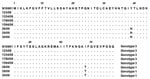 Thumbnail of Amino acid sequence alignment of the ctxB subunit of representative Vibrio cholerae isolates from the cholera outbreak, Terengganu, Malaysia, 2009. El Tor O1 N16961 (ctxB3) was used as the reference strain in the alignment. Identical amino acid residues are indicated by dots. Two genotypes (1,3) were observed in the outbreak strains.