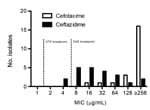 Thumbnail of MIC distribution for cefotaxime (CTX) and ceftazidime (CFZ) in CTX-M extended-spectrum β-lactamase–producing Klebsiella pneumoniae clinical isolates from a tertiary care medical center, New York, New York, USA, 2005–2012 (n = 22). The MICs were determined by Etest.