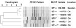 Thumbnail of Dendrogram showing pulsed-field gel electrophoresis (PFGE) analysis and multilocus sequence typing (MLST) results for New Delhi metallo-β-lactamase–producing Klebsiella pneumoniae isolates, United States, April 2009–March 2011. Isolates 0S-506 (13), 1100770, and 1100975 showed related PFGE patterns and were identified as MLST sequence type 14. PFGE and MLST results showed that other isolates were more diverse and unrelated to sequence type 14. Scale bar indicates % similarity. CA, C