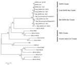 Thumbnail of Phylogenetic tree of novel betacoronaviruses based on the nucleotide sequence of the RdRp gene. The following coronaviruses (CoVs) and GenBank accession numbers were used: bat severe acute respiratory syndrome CoV Rm1 (bat SARS-CoV Rm1; DQ412043), bat SARS-CoV Rp3 (DQ071615), bat SARS-CoV Rf1 (DQ412042), bat SARS-CoV HKU3 (DQ022305),SARS-CoV isolate Tor2/FP1–10895 (SARS-CoV Tor2; JX163925), SARS-CoV BJ182–12 (SARS-CoV BJ182; EU371564), SARS-CoV (NC004718), civet SARS-CoV SZ3 (AY3044
