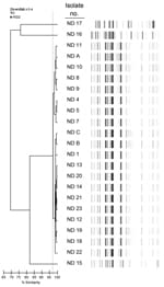 Thumbnail of Genetic typing of carbapenem-resistant Enterobacter cloacae identified from patients at Sanford Health in Fargo, North Dakota, USA. Repetitive sequence–based PCR was used. The dendrogram at left displays the percentage similarity among band patterns shown at right. Isolate numbers ND 1, ND 4–5, ND 7–14, and ND 18–23 indicate Klebsiella pneumoniae carbapenemase (KPC) 3–producing E. cloacae isolates isolated during December 2011–December 2012; ND A–C indicate KPC-3–producing E. cloaca