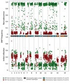 Thumbnail of Analysis of the minor haplotype (H2) that caused recrudescence of Plasmodium malariae infection in a patient at Royal Darwin Hospital, Darwin, Northern Territory, Australia, March–April 2015, showing distribution of SNP alternative (nonreference) allele frequencies across the 14 chromosomes (boxes in the middle and dotted vertical lines) in the initial infection (bottom plot) and the recrudescence (top plot). The SNP colors (green, increasing in frequency; red, decreasing in frequen