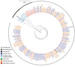 Thumbnail of Maximum-likelihood phylogeny of 132 sequenced Salmonella enterica serovar Mississippi isolates from Australia and New Zealand and reference isolates, inferred from 8,573 core single-nucleotide polymorphisms. Nodes are labeled with isolation year, isolate source if nonhuman (all from Tasmania), and Australia state of acquisition or residence if human. Tree visualized with iTOL (https://itol.embl.de) and midpoint rooted. Scale bar indicates nucleotide substitutions per site. *State of