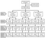 Flowchart of participating villages, humans, and pigs in a study of Taenia solium intervention strategies, Peru. Humans were treated with niclosamide, pigs (when treated) with oxfendazole. MT, mass treatment; RS, ring screening; RT, ring treatment.