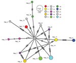 Network showing relationship between Gamma variant severe acute respiratory syndrome coronavirus 2 (SARS-CoV-2) sequences from household members involved in investigation of cluster of SARS-CoV-2 Gamma (P.1) variant infections, Parintins, Brazil, March 2021. Nodes represent unique sequences, and dashes connecting nodes denote the number of base-pair differences between sequences. Samples are from 27 household members from 15 households, and colors denote samples from the same household; gray indicates samples from households from which only 1 virus sequence was available. Node size is proportional to the number of samples with a given sequence. Hap, haplotype.