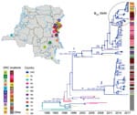 Spatiotemporal evolution and dissemination of Vibrio cholerae epidemic in the Democratic Republic of the Congo, 2015–2017. Sampling locations of V. cholerae strains sequenced in this study are indicated on the map. Each sampling location is coded by color and number, defined in the key; location colors are indicated for each tip in the maximum clade credibility tree as a heatmap (exact locations in Appendix Table 2). The tree was inferred from full genome V. cholerae isolates from DRC, neighboring countries, and Asia. Branches are scaled in time and colored by country of origin. Circles in internal nodes indicate posterior probability support >0.9, and the colors indicate ancestral countries inferred by Bayesian phylogeographic reconstruction. Circles at tips indicates the strains collected and sequenced in this study, with black circles designating phage-resistant strains. Notations I, II, IIa, and IIb indicate well-supported lineages and sublineages circulating in DRC during outbreaks. Asterisks (*) indicate potential spillover events within the Great Lakes region originated from neighboring countries. The tree with full tip labels is provided in Appendix Figure 2. 