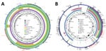 Genetic comparison of blaOXA-232–carrying plasmids (A) and virulence plasmids (B) recovered from Klebsiella pneumoniae isolate KP3295 from China with reference plasmids. A) Alignment of blaOXA-232–carrying plasmids pKP3295-5-OXA-232 (this study), pAI1235M_P5 (GenBank accession no. CP079136), pOXA-232_30929 (accession no. KX523904), pOXA-232 (accession no. JX423831), pBio45 (accession no. CP093855), pBio73 (accession no. CP093853), pBio3 (accession no. CP094228), p_dm730a_NDM5 (accession no. CP096174), and 730a-copy-1-OXA-232 (accession no. CP096173). We used pAI1235M_P5 as the reference plasmid. Red indicates antimicrobial resistance genes. B) Alignment of virulence plasmids pKP3295-1 (this study), pWSD411_2 (accession no. CP045675), pvirhs2_HS-3501_NODE2 (accession no. OM975892), p2579_1 (accession no. MK649822), kp7450_p1 (accession no. CP090469), pBA6740_1 (accession no. MK649823), pE16KP0290-1 (accession no. CP052259), pER17974.3 (accession no. CP059296), p2723–175k (accession no. CP072940), and pLVPK (accession no. AY378100). We used pLVPK as the reference plasmid. Red indicates virulence genes.
