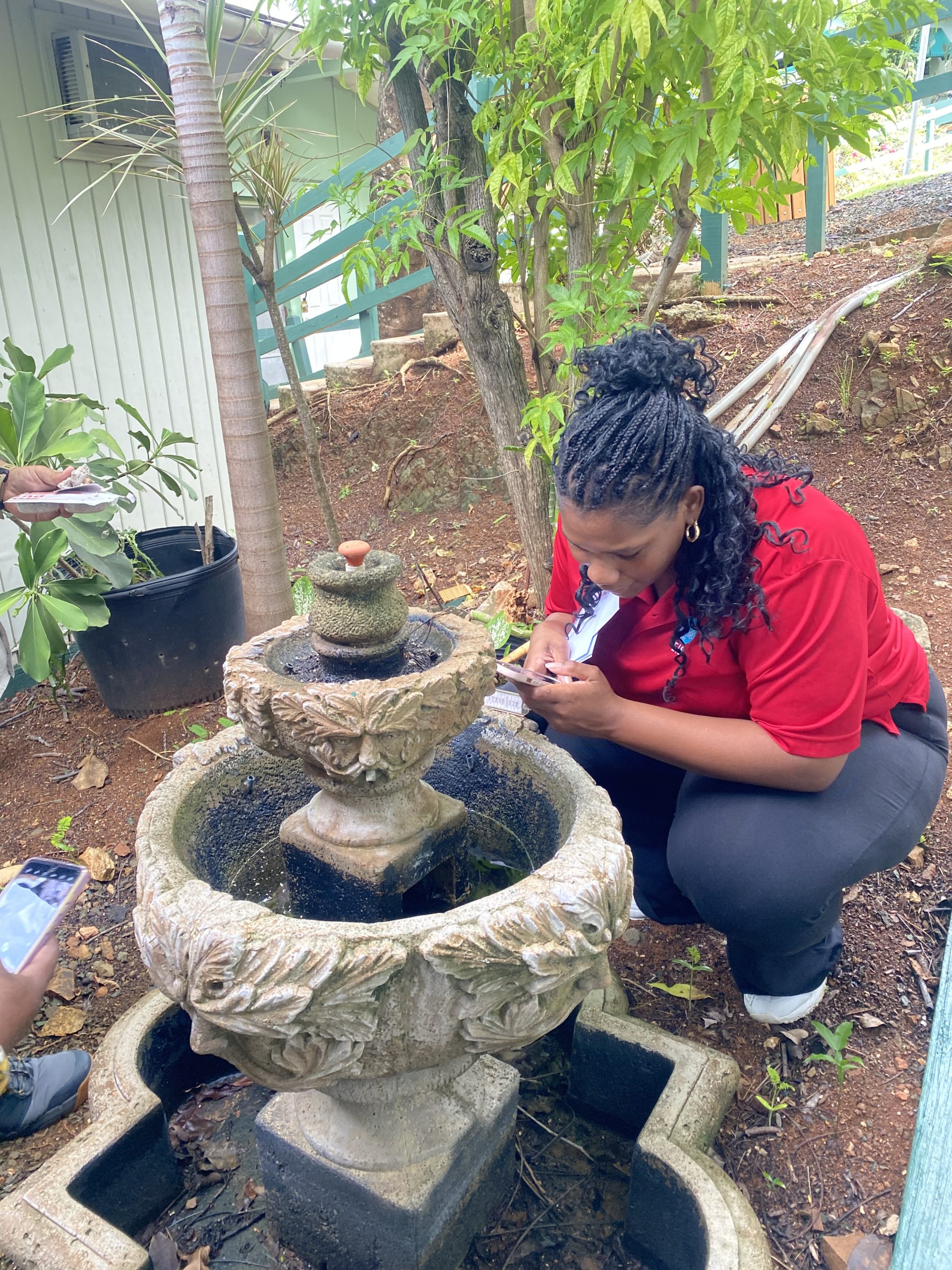 EIS Officer Fhallon Ware-Gilmore (Class of 2023) inspecting a water container for potential mosquito breeding sites in Saint Thomas, US Virgin Islands. Stagnant water in household containers can serve as prime habitats for Aedes aegypti larvae, increasing the risk of dengue transmission. Identifying and eliminating these breeding sites is a crucial part of vector control strategies.