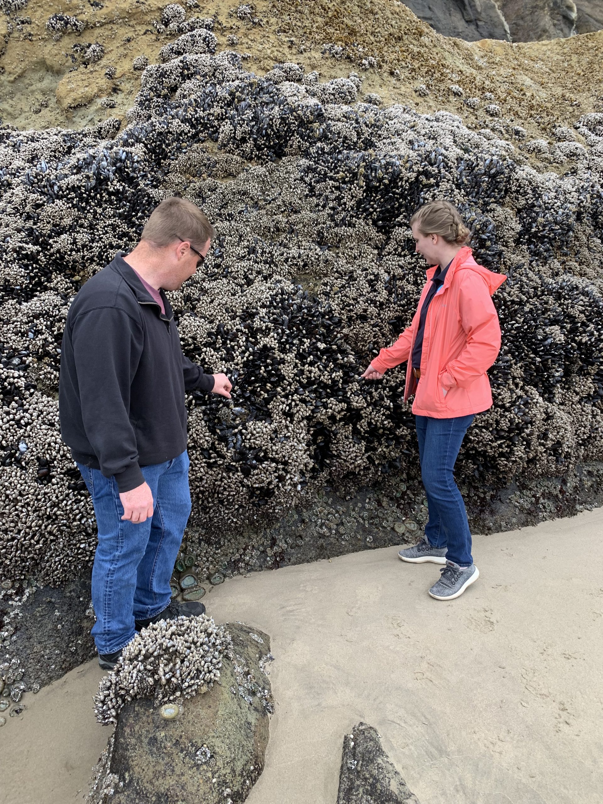 EIS officer Madison Walton-Franklin, PhD (right) (EIS Class of 2023) and CSTE Applied Epidemiology fellow Terran Gilbreath, MPH (left) observe wild mussels at Hug Point, a popular Oregon beach, following an outbreak of paralytic shellfish poisoning in May–June 2024.