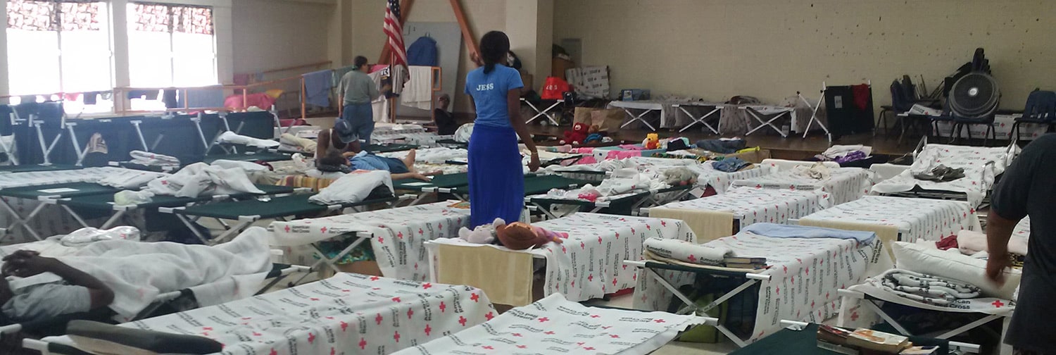 Bunk room for emergency shelter with cots set up in rows