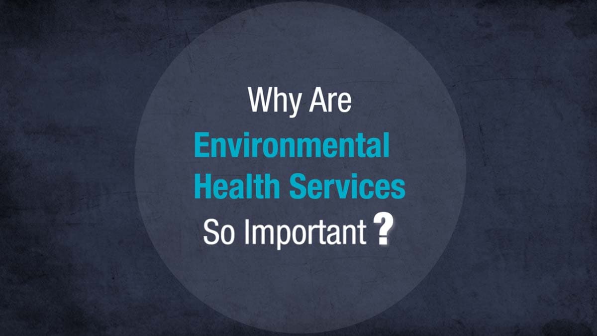 Graphic that says "Why are environmental health services so important?"