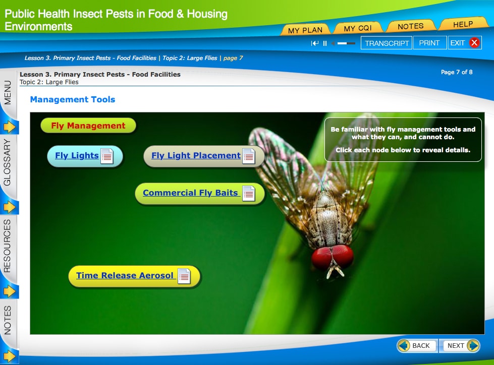 This is a screenshot of the training that features a large image of a fly.